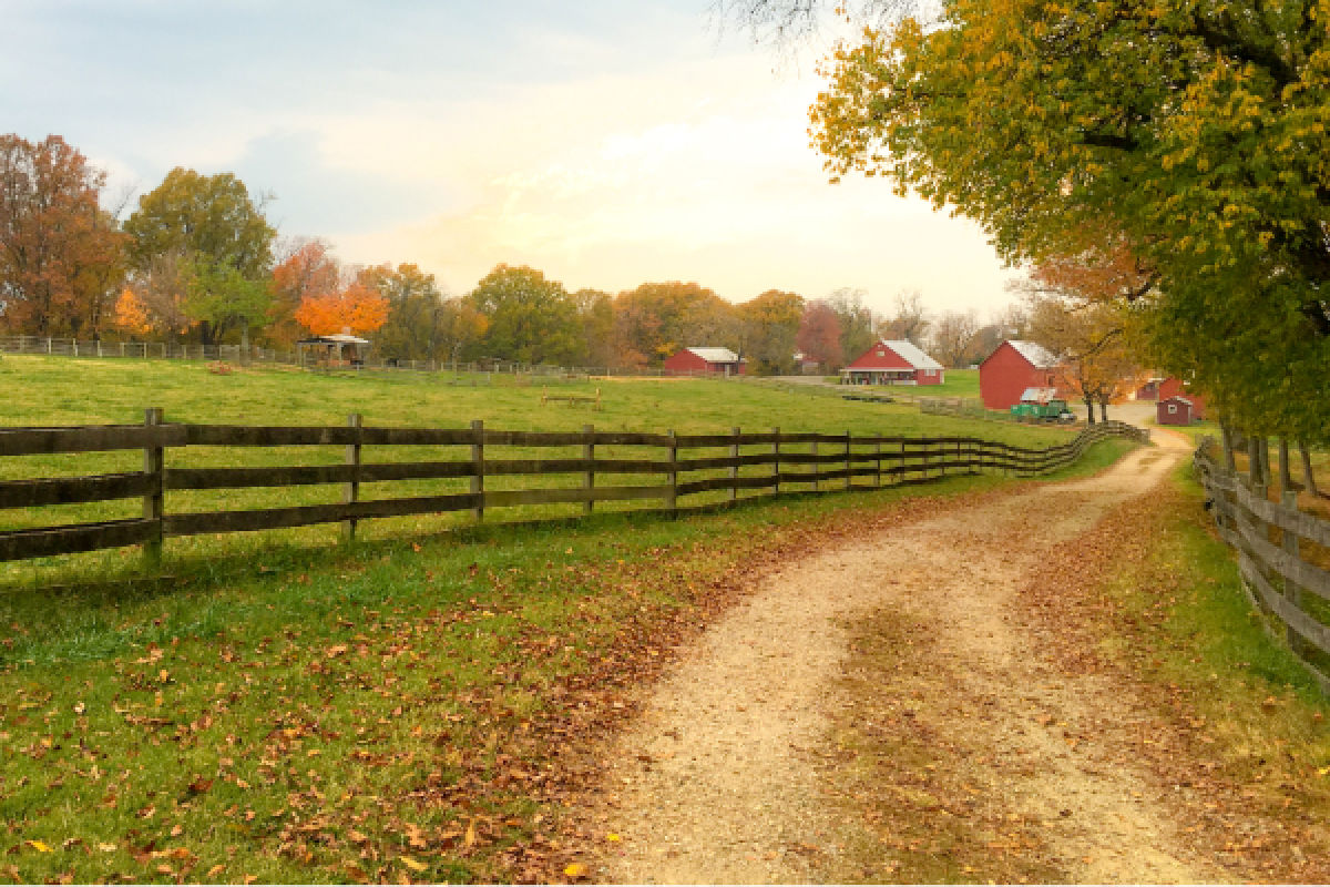 hobby farms